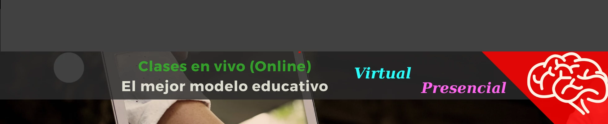 Cursos online en vivo virtual