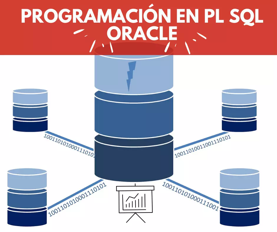 Curso Programación con PL-SQL - Oracle