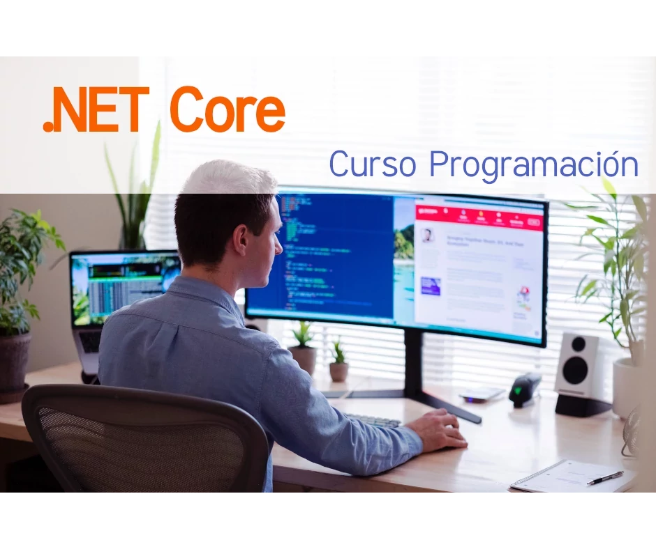 Curso Programación .NET Core